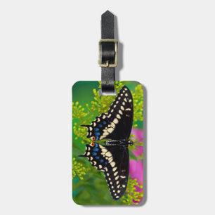 Ein Schwalbenschwanz-Schmetterling landet Gepäckanhänger