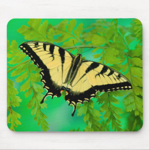Ein Schwalbenschwanz Schmetterling landet Mousepad