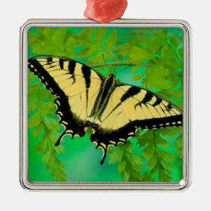 Ein Schwalbenschwanz Schmetterling landet Ornament Aus Metall