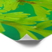 Ein Schwalbenschwanz Schmetterling landet Poster (Ecke)