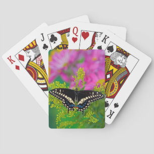 Ein Schwalbenschwanz-Schmetterling landet Spielkarten