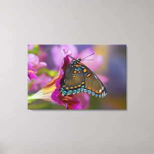 Ein Schwalbenschwanz Schmetterling Leinwanddruck