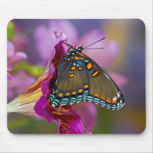 Ein Schwalbenschwanz-Schmetterling Mousepad
