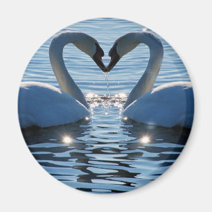 Ein Schwan-Herz-Kuss, Reflexionen der Liebe Magnet