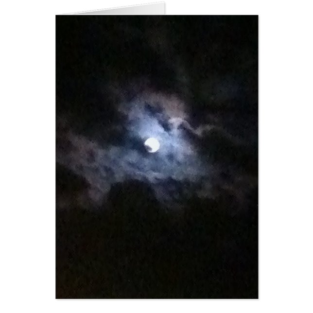 Ein Schwan im Vollmond (Vorne)