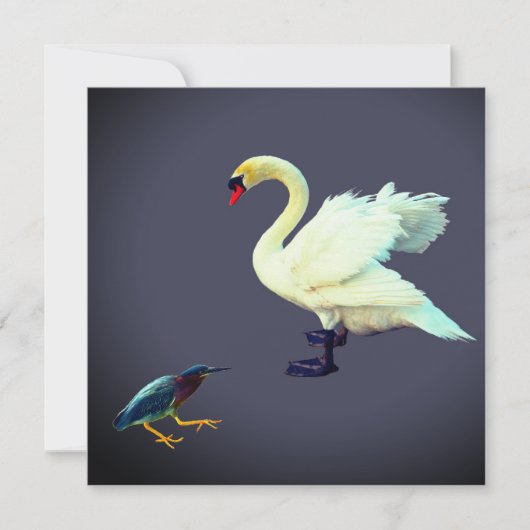 Ein Schwan und ein Blaureiher Feiertagskarte (Vorderseite)
