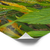 Ein Schwanzkamm mit brennender Liebe Poster (Ecke)