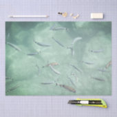 Ein Schwarm Fische Seidenpapier (Handwerk)