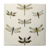 ein Schwarm von Libellen Fliese (Vorderseite)