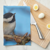 Ein schwarz gekapptes Chickadee auf dem Birnbaum Handtuch (Viertel Falte)