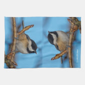 Ein schwarz gekapptes Chickadee auf dem Birnbaum Handtuch (Horizontal)