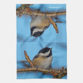Ein schwarz gekapptes Chickadee auf dem Birnbaum Handtuch (Vertikal)