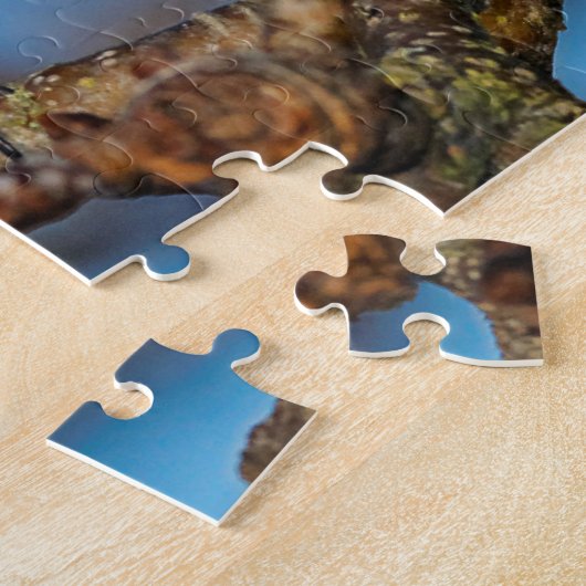 Ein schwarz gekapptes Chickadee auf dem Birnbaum Puzzle (Seite)