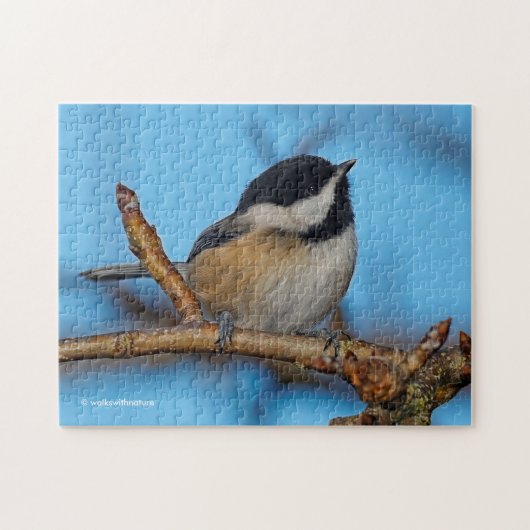 Ein schwarz gekapptes Chickadee auf dem Birnbaum Puzzle (Horizontal)
