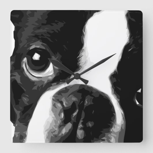 Ein Schwarz-Weiß-Boston-Terrier Quadratische Wanduhr (Vorderseite)