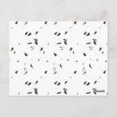 ein Schwarz-Weiß-Foto einer Vogelherde Postkarte (Rückseite)