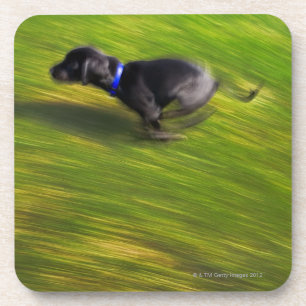 Ein schwarzer Hundebetrieb Getränkeuntersetzer