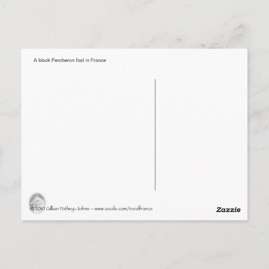 Ein schwarzer Percheron-Fohlen in Frankreich Postkarte (Rückseite)