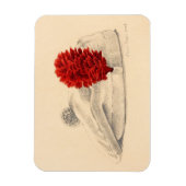 Ein Schwarzer Uhrenroter Hackle 2004 Magnet (Vertikal)