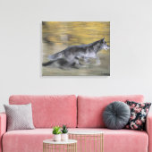 Ein schwarzer Wolf auf der Flucht Leinwanddruck (Insitu (Wohnzimmer))
