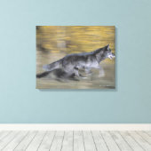 Ein schwarzer Wolf auf der Flucht Leinwanddruck (Insitu (Holzboden))