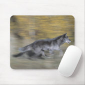Ein schwarzer Wolf auf der Flucht Mousepad (Mit Mouse)