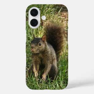 Ein schwarzes Eichhörnchen iPhone 16 Hülle
