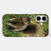 Ein schwarzes Eichhörnchen Case-Mate iPhone Hülle (Rückseite (Horizontal))
