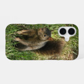 Ein schwarzes Eichhörnchen iPhone 16 Hülle (Rückseite (Horizontal))