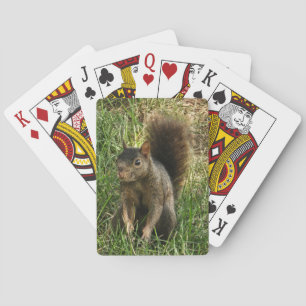 Ein schwarzes Eichhörnchen Spielkarten