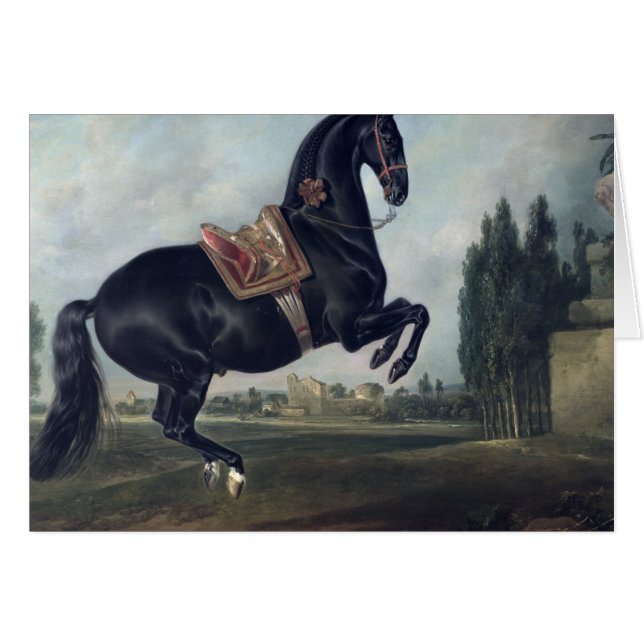 Ein schwarzes Pferd darstellend das Courbette (Vorderseite (Horizontal))