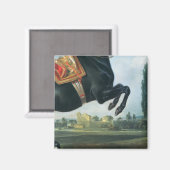 Ein schwarzes Pferd darstellend den Courbette Magnet (Vorderseite/Rückseite)