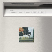 Ein schwarzes Pferd darstellend den Courbette Magnet (In Situ (Geschirrspüler))
