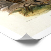 Ein Schwarzfuß Indianer auf dem Pferd, Teller 19 v Poster (Ecke)