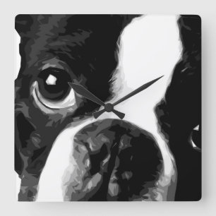 Ein Schwarzweiss-Boston-Terrier Quadratische Wanduhr