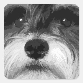 Ein Schwarzweiß-Miniaturschnauzer Quadratischer Aufkleber