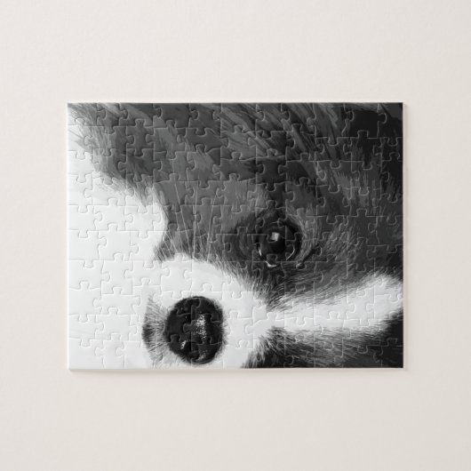 Ein Schwarzweiss-Papillon Puzzle (Horizontal)