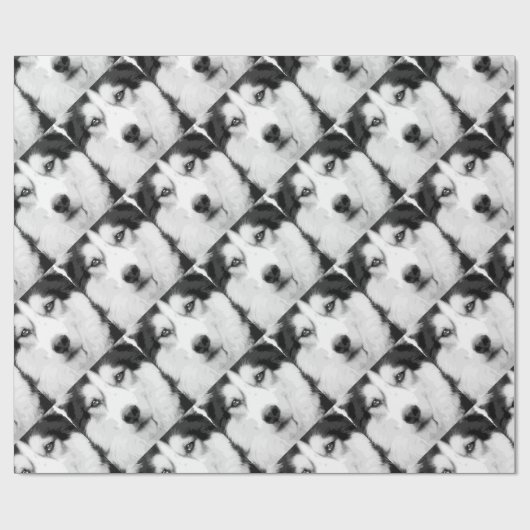 Ein Schwarzweiss-sibirischer Husky Geschenkpapier (Flach)