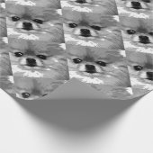 Ein Schwarzweiss-Spitz Geschenkpapier (Ecke)