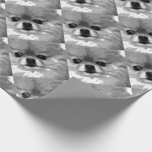 Ein Schwarzweiss-Spitz Geschenkpapier (Ecke)