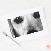 Ein schwarzweißer Golden Retriever Rechteckiger Aufkleber (Umschlag)