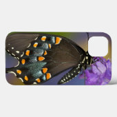 Ein Schwefel Schmetterling Case-Mate iPhone Hülle (Rückseite (Horizontal))