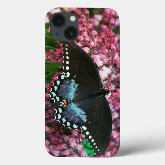 Ein Schwefel-Schmetterling | in der Phoebis Case-Mate iPhone Hülle (Rückseite)