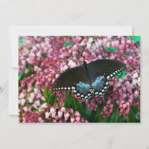 Ein Schwefel-Schmetterling   In Der Phoebis-Famili Dankeskarte