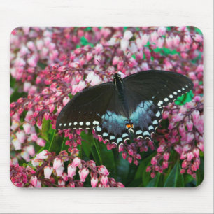 Ein Schwefel-Schmetterling In der Phoebis-Famili Mousepad
