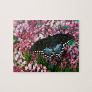 Ein Schwefel-Schmetterling   In Der Phoebis-Famili Puzzle