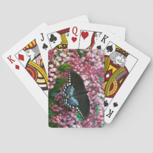 Ein Schwefel-Schmetterling   In Der Phoebis Famili Spielkarten