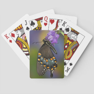 Ein Schwefel-Schmetterling Spielkarten
