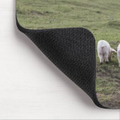 Ein Schwein mit Ferkeln im Feld Mousepad (Ecke)
