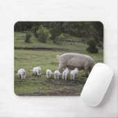 Ein Schwein mit Ferkeln im Feld Mousepad (Mit Mouse)